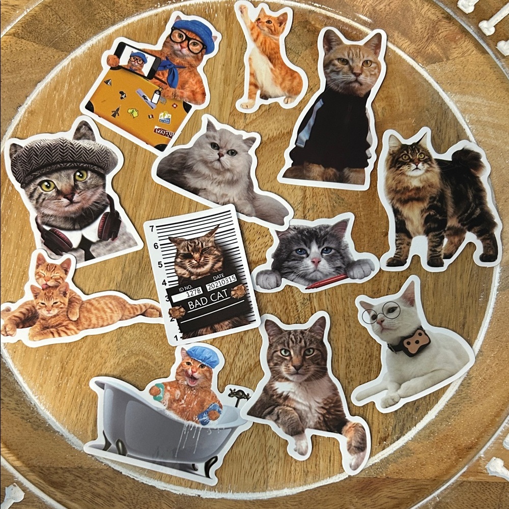 💎5/$25 Assorted Cat Sticker Pack NEW x12 in funny poses